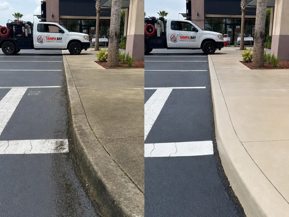 Clean concrete curb line and crosswalk striping at a shopping center parking area